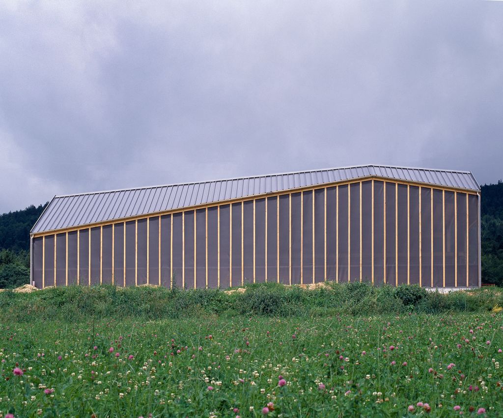 Cow shed / localarchitecture