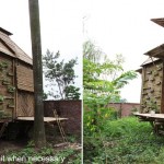 Blooming bamboo home, vietnam / h&p architects