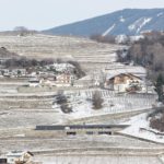 Underground home villa p in bressanone italy lukas schaller06 5