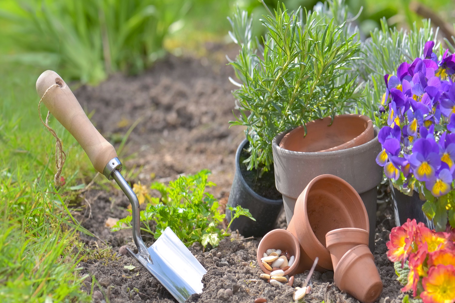 Best gifts for gardener shovel planting in the soil next to teracotta pots and flowers with copy space in grass