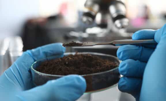 Scientist wearing protective gloves examining ground sample at laboratory close-up