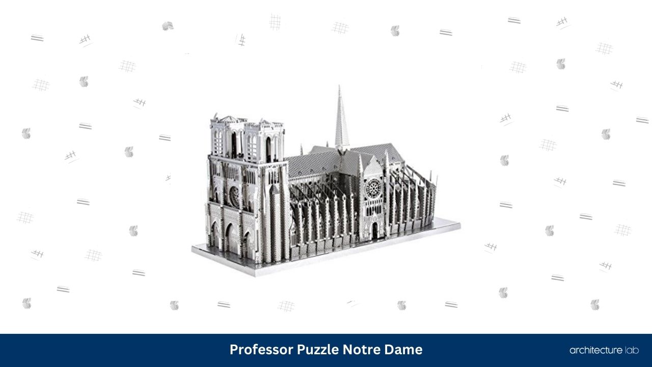 Professor puzzle notre dame