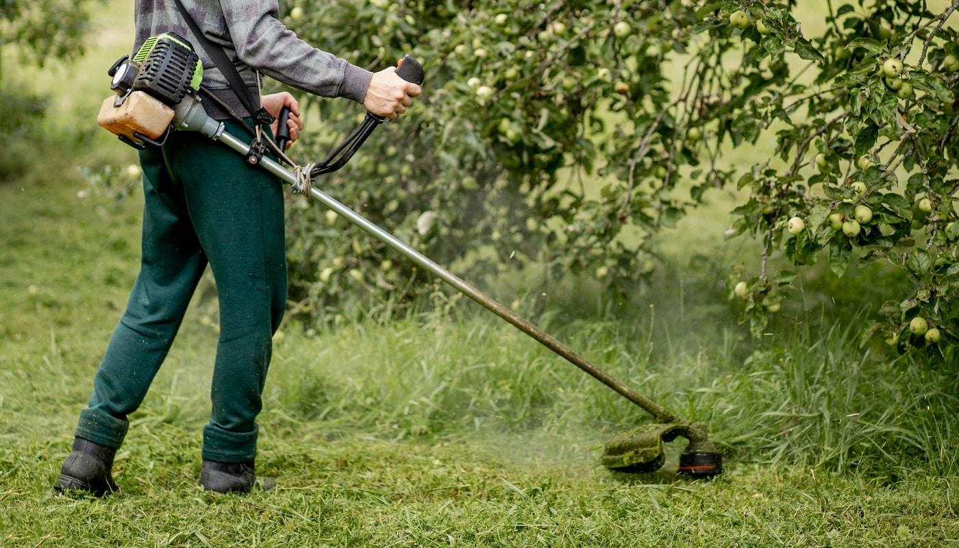 Worker with a gas mower in his hands, mowing grass in front of the house. Trimmer in the hands of a man. Gardener cutting the grass. Lifestyle