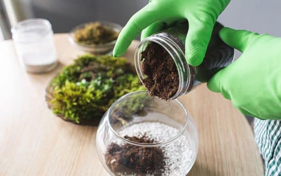 Close-up of hands in gloves pour peat into the florarium