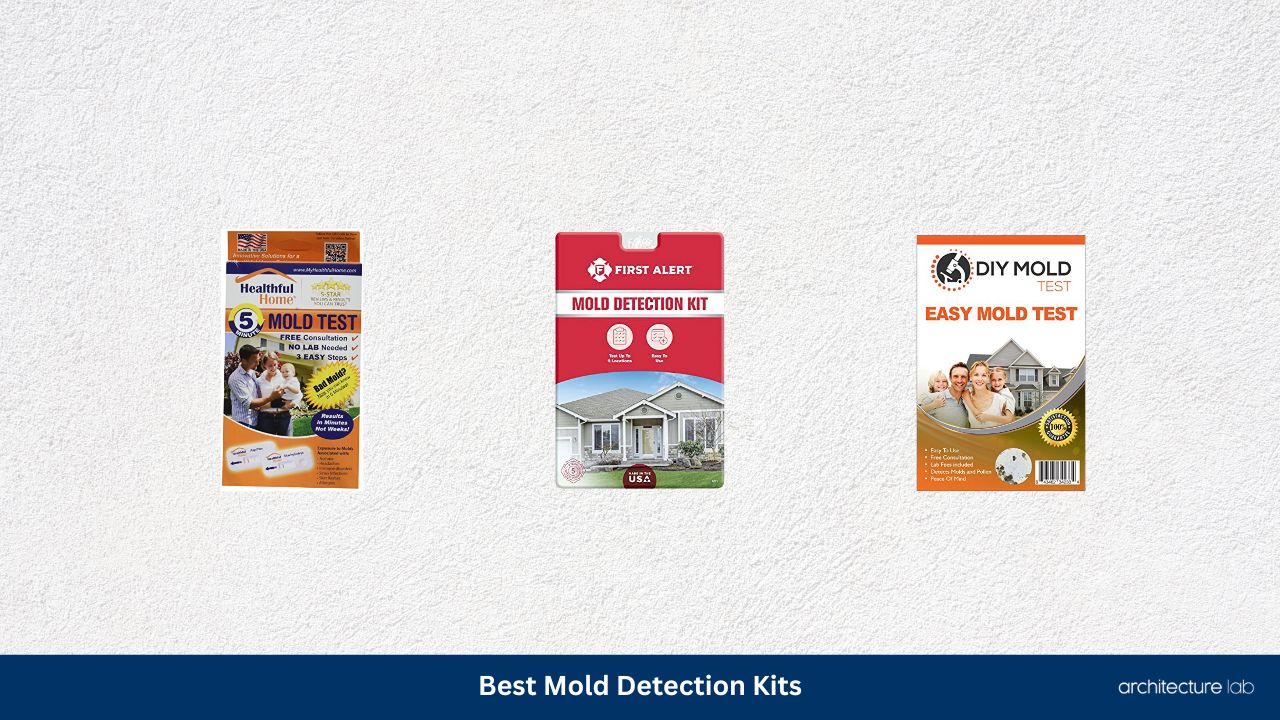 Best mold detection kit