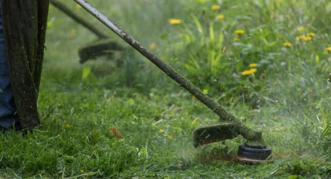 How to use a weed eater final words