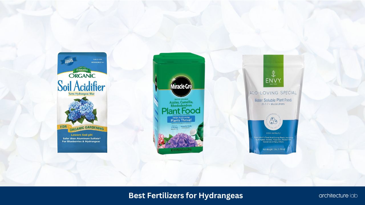 Best fertilizers for hydrangeas