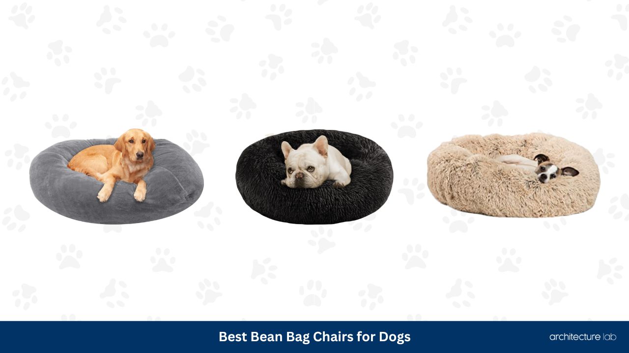 Best bean bag chairs for dogs