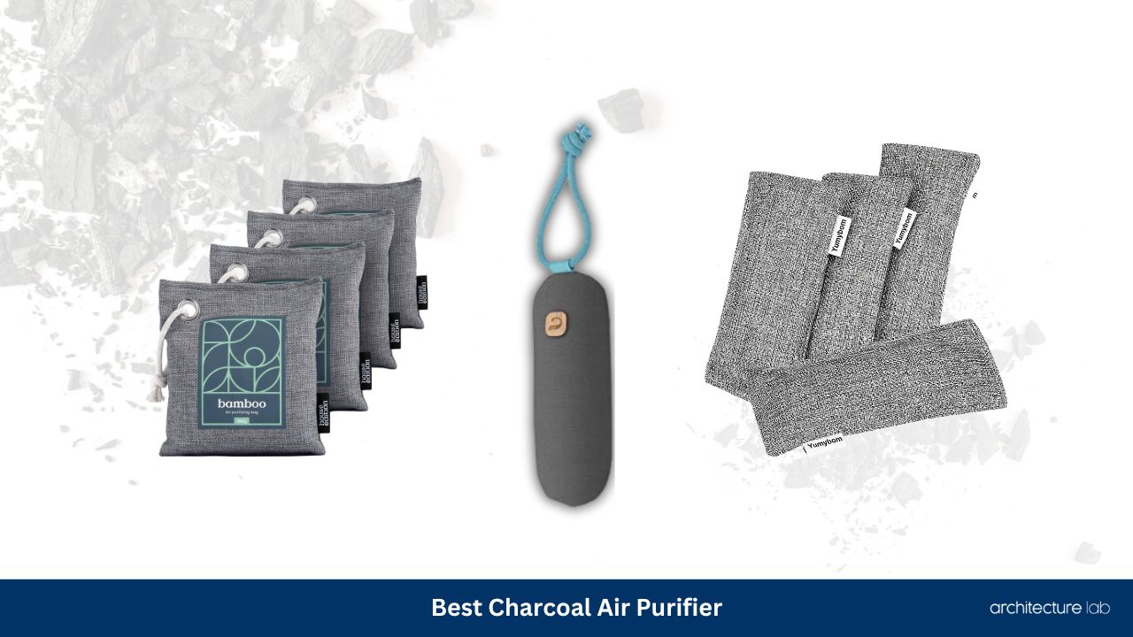 Best charcoal air purifier