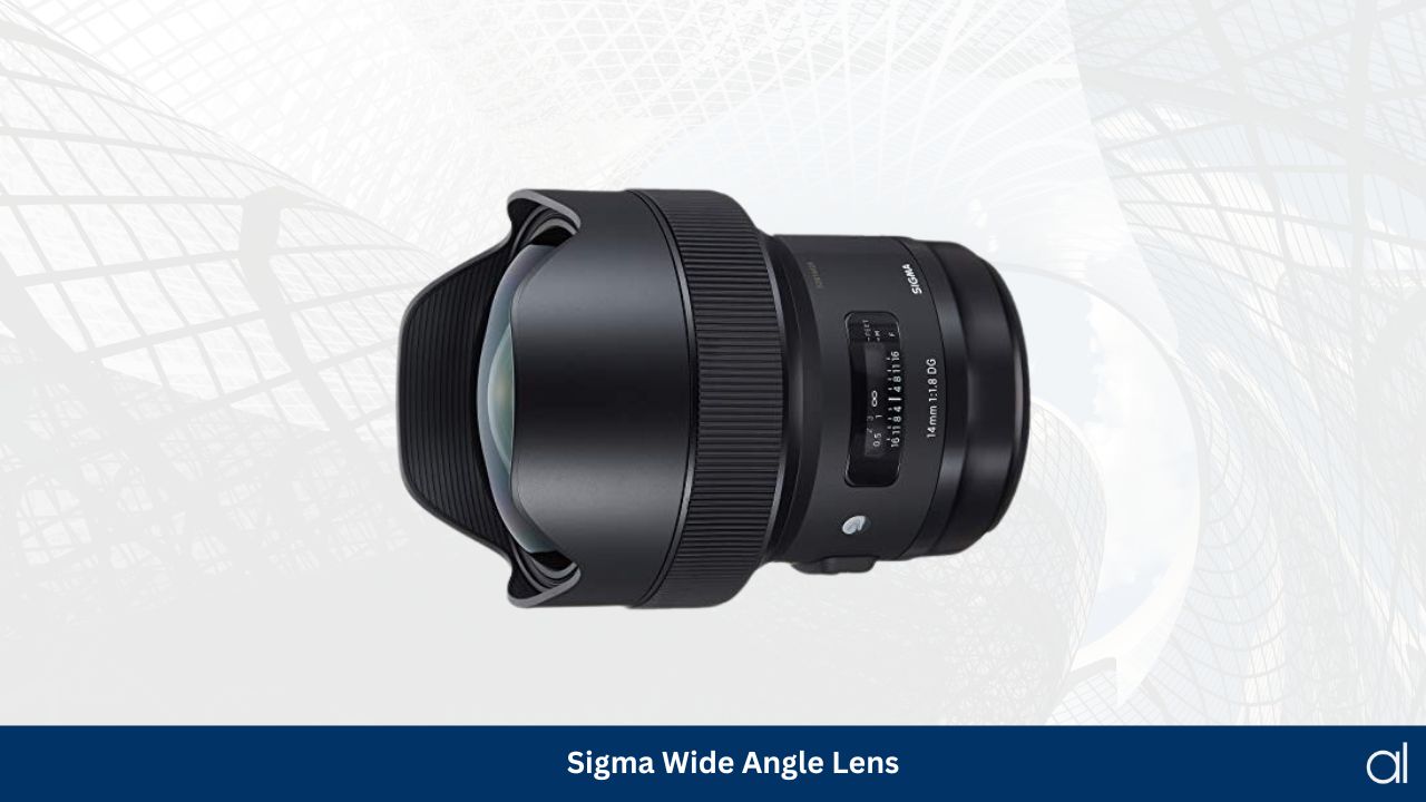 Sigma wide angle lens