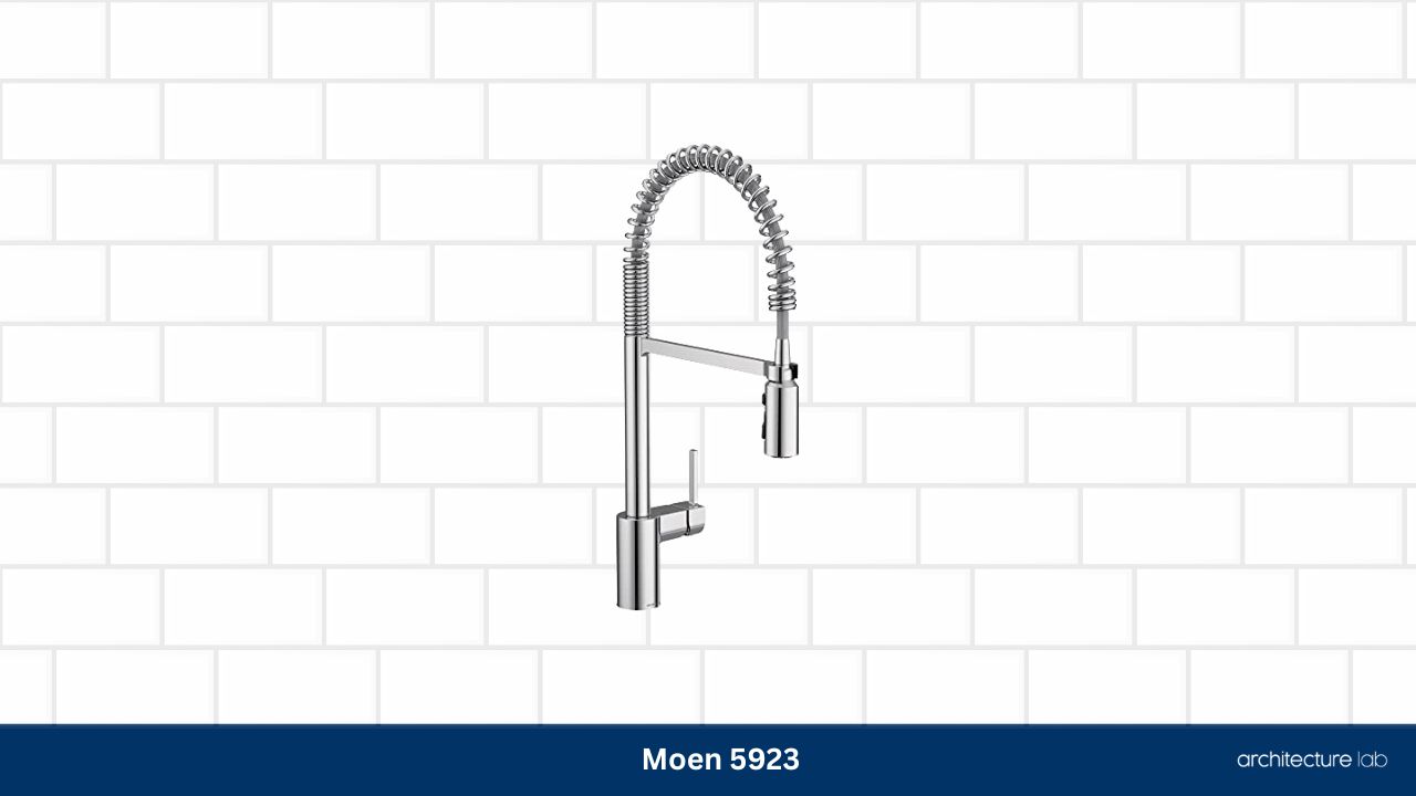 Moen 5923 align spring pulldown kitchen faucet